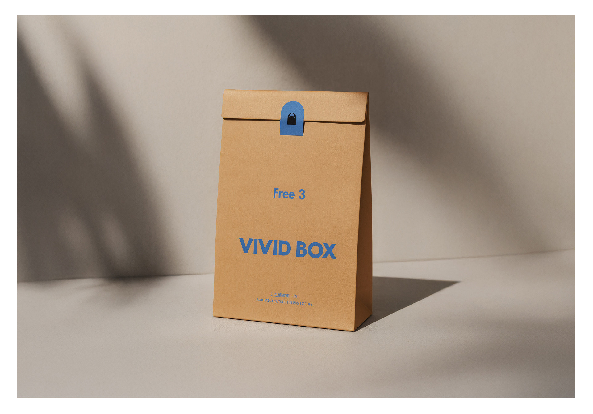 VIVID BOX