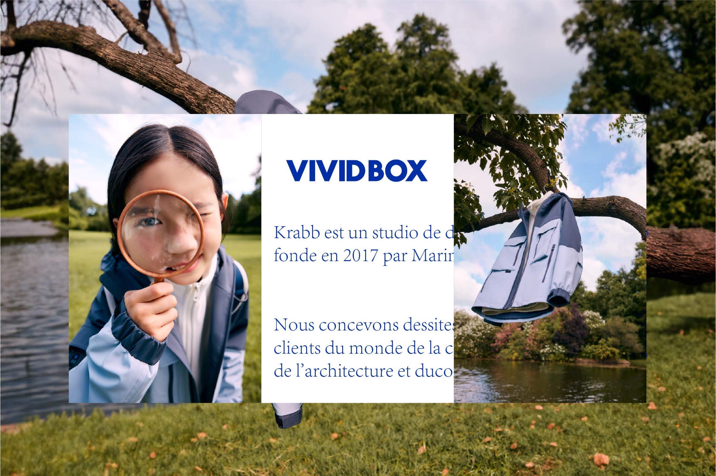 VIVID BOX 品牌VI