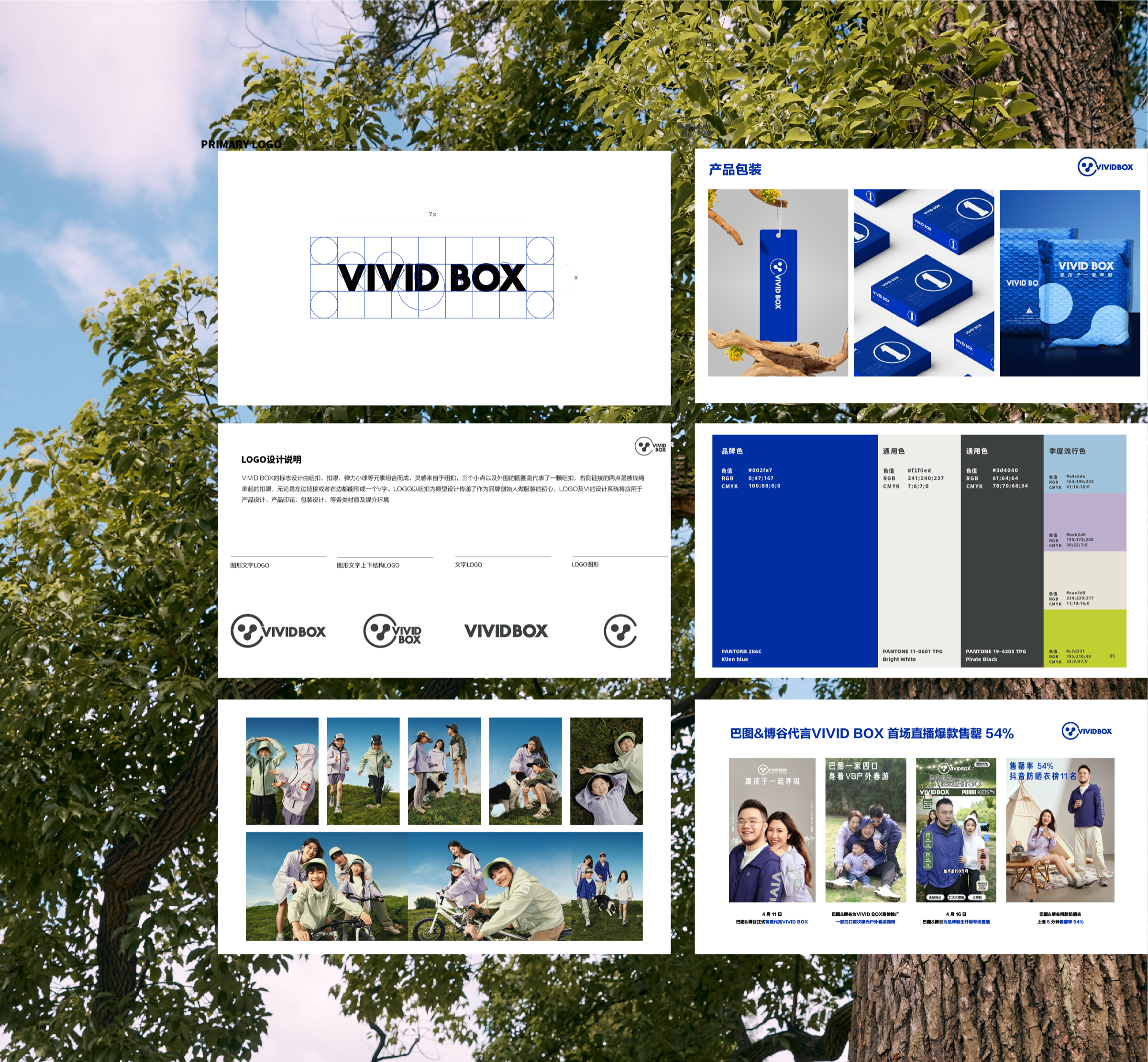 VIVID BOX 品牌VI